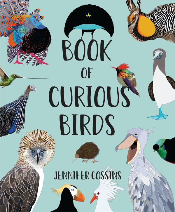 The Book of Curious Birds