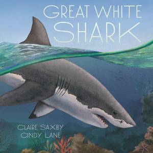 CBCA Award for A New Illustrator